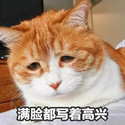 宋无极